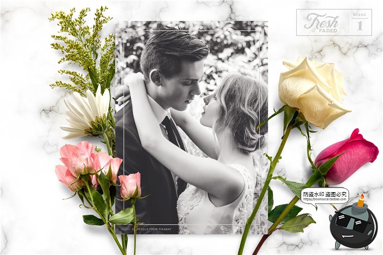 图片[7]-新鲜&干枯鲜花花卉玫瑰植物叶子平躺场景装饰元素PNG免抠插画素材-设计猿