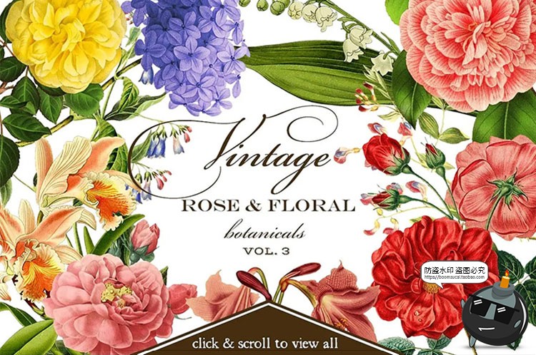 图片[1]-美式复古手绘鲜花植物花卉图案插画装饰PNG免抠高清图片PS素材-设计猿