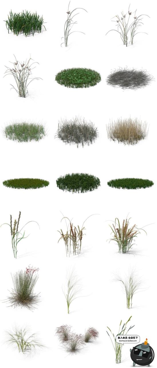 图片[1]-小麦芦苇小草丛草芦三叶草蕨类植物杂草PNG免扣后期PSD合成PS素材-设计猿
