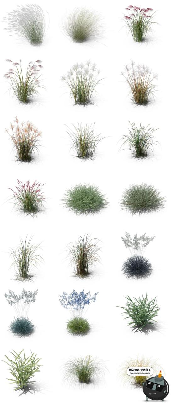 图片[2]-小麦芦苇小草丛草芦三叶草蕨类植物杂草PNG免扣后期PSD合成PS素材-设计猿