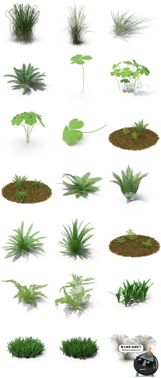 图片[4]-小麦芦苇小草丛草芦三叶草蕨类植物杂草PNG免扣后期PSD合成PS素材-设计猿