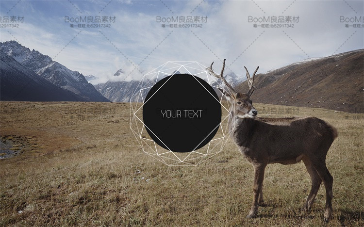 图片[4]-简约时尚几何抽象广告店铺标志LOGO图标海报PSD源文件PS设计素材-设计猿