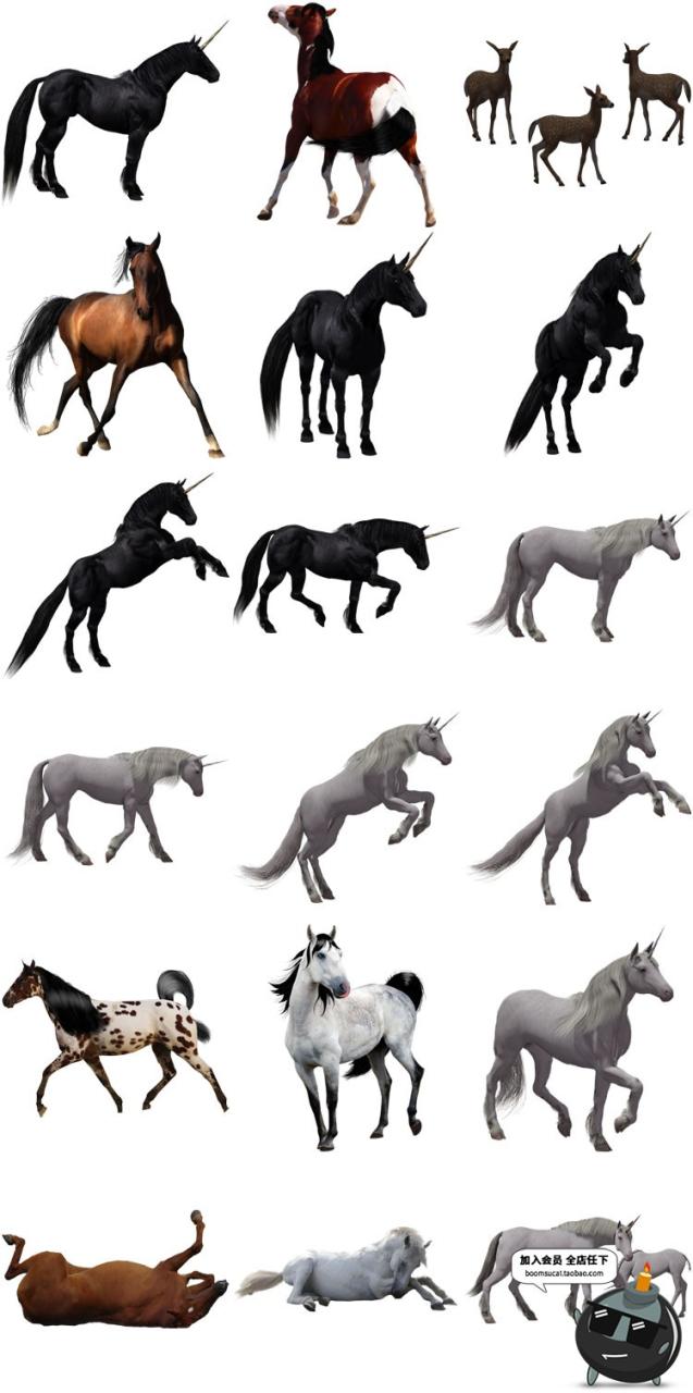图片[1]-马图片飞马草原马骏马奔跑站立广告宣传海报高清图片PNG免抠素材-设计猿