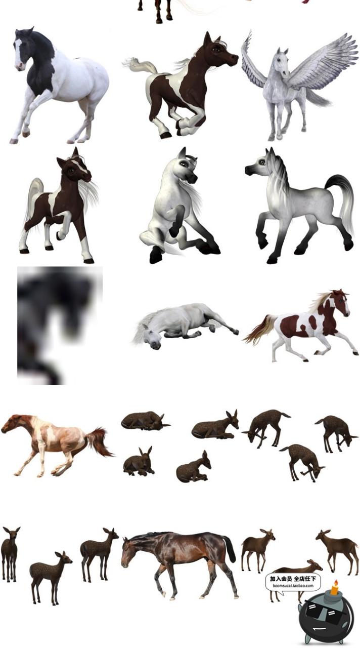 图片[4]-马图片飞马草原马骏马奔跑站立广告宣传海报高清图片PNG免抠素材-设计猿