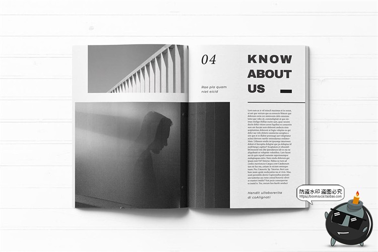 图片[3]-单色系黑白灰品牌手册画册宣传册杂志内页排版AI矢量PSD模板素材-设计猿