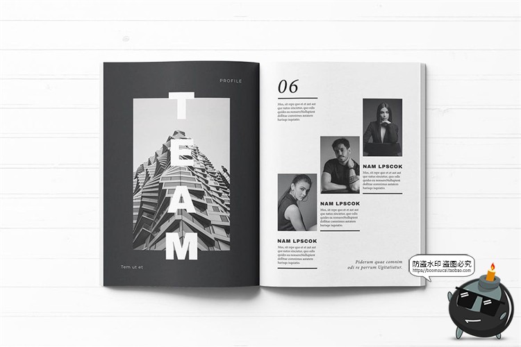 图片[5]-单色系黑白灰品牌手册画册宣传册杂志内页排版AI矢量PSD模板素材-设计猿