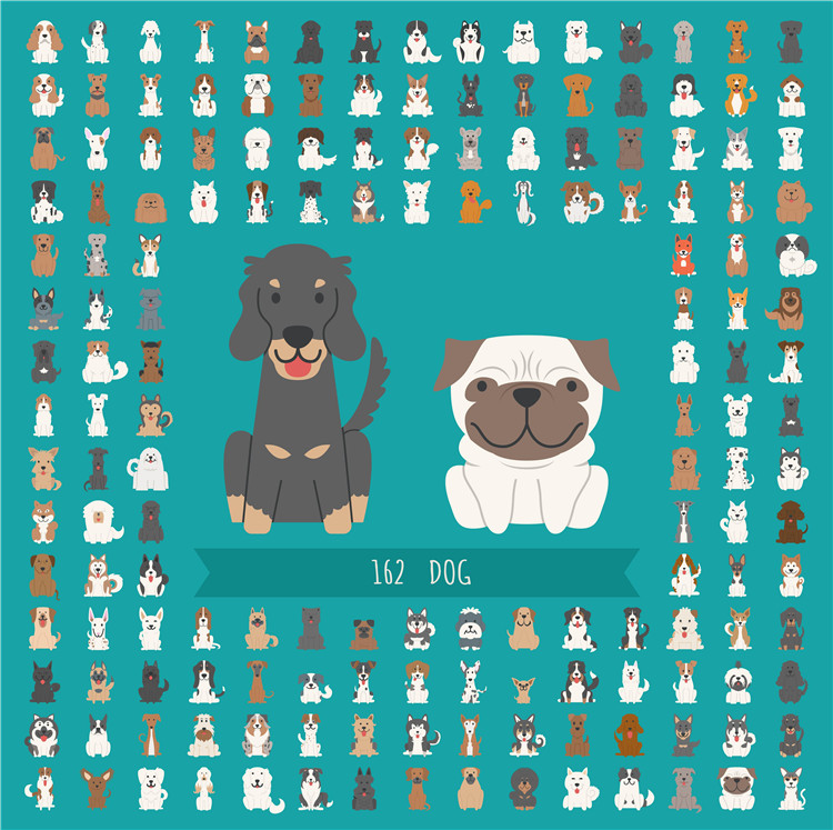 图片[1]-卡通可爱扁平化Q萌版泰迪宠物狗狗犬形象金毛萨摩耶AI矢量图素材-设计猿