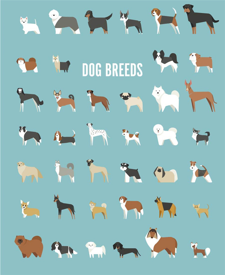 图片[2]-卡通可爱扁平化Q萌版泰迪宠物狗狗犬形象金毛萨摩耶AI矢量图素材-设计猿