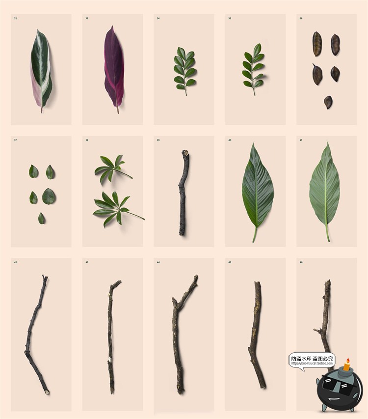 图片[2]-高清树叶树枝叶脉纹理装饰单片叶子PNG元素PSD模板后期合成素材-设计猿