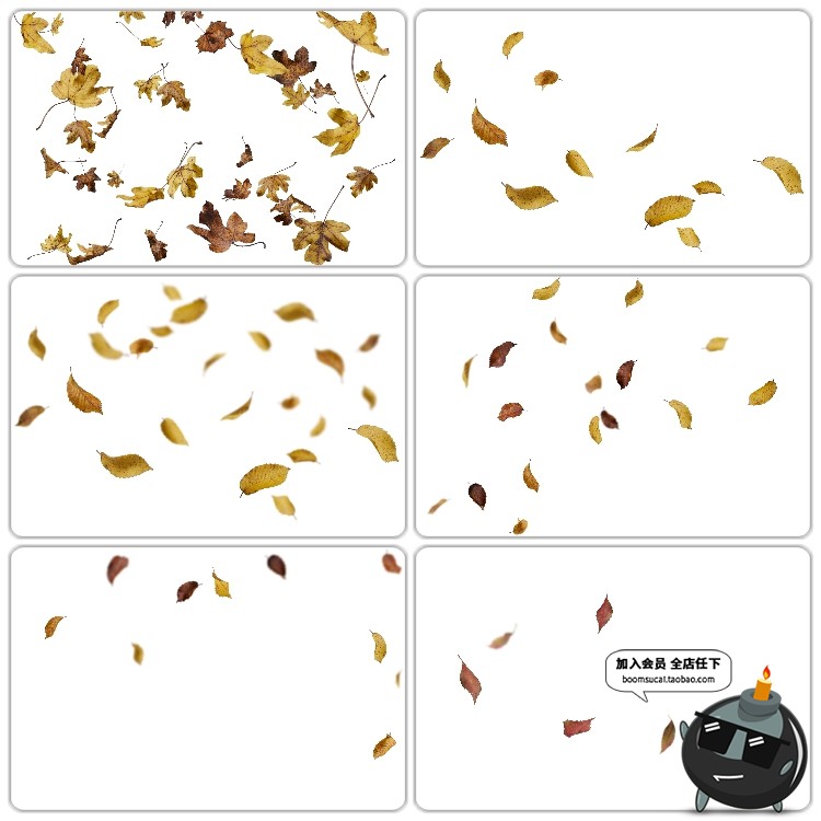 图片[1]-金色落叶秋枫叶飘落图片外景PS后期合成装饰PNG免抠图PS设计素材-设计猿