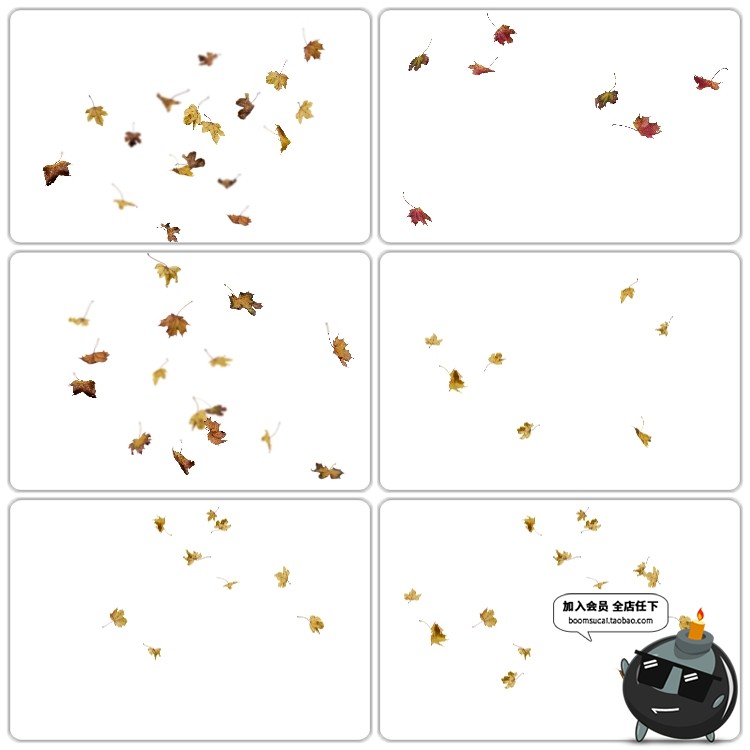 图片[2]-金色落叶秋枫叶飘落图片外景PS后期合成装饰PNG免抠图PS设计素材-设计猿