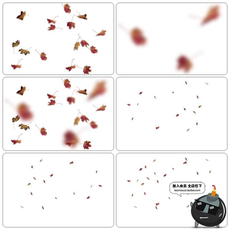 图片[5]-金色落叶秋枫叶飘落图片外景PS后期合成装饰PNG免抠图PS设计素材-设计猿