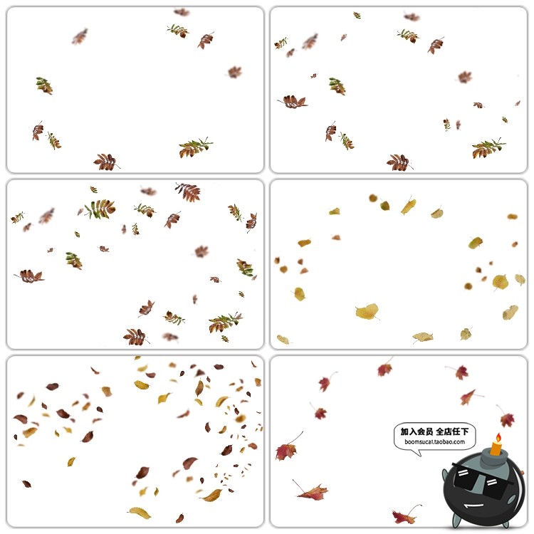 图片[7]-金色落叶秋枫叶飘落图片外景PS后期合成装饰PNG免抠图PS设计素材-设计猿