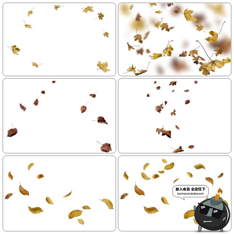 图片[8]-金色落叶秋枫叶飘落图片外景PS后期合成装饰PNG免抠图PS设计素材-设计猿