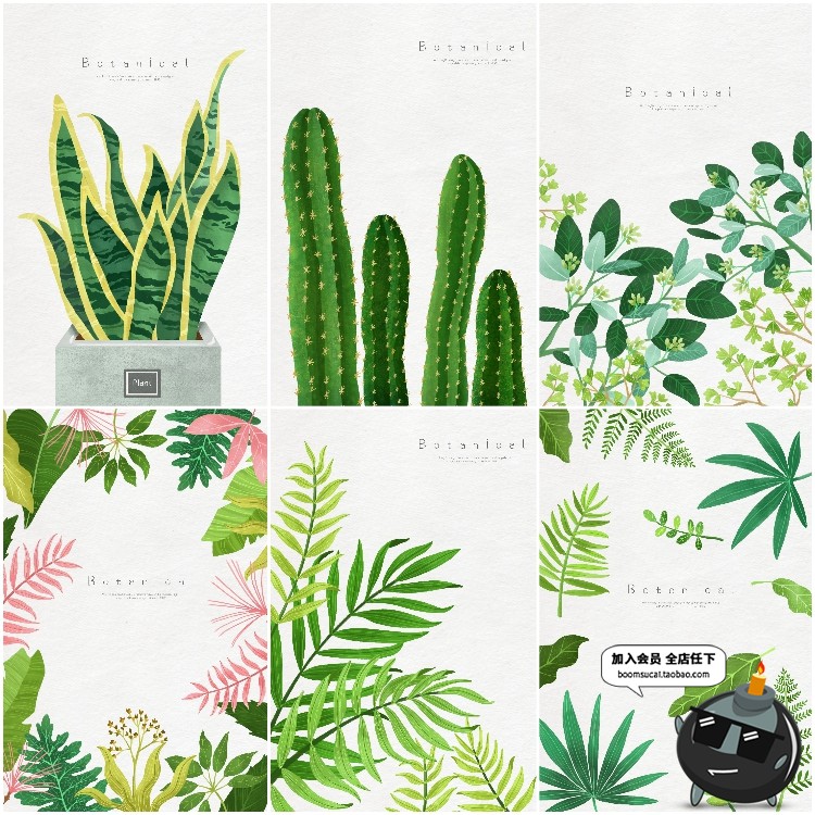 图片[1]-春天清新绿色热带植物树叶仙人掌棕榈图案背景海报PSD设计PS素材-设计猿