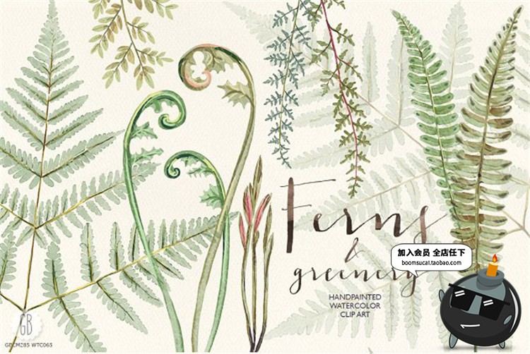 图片[1]-高清古老热带蕨类植物叶子水彩画元素PNG免抠贴图图片PS设计素材-设计猿