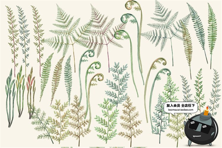 图片[2]-高清古老热带蕨类植物叶子水彩画元素PNG免抠贴图图片PS设计素材-设计猿