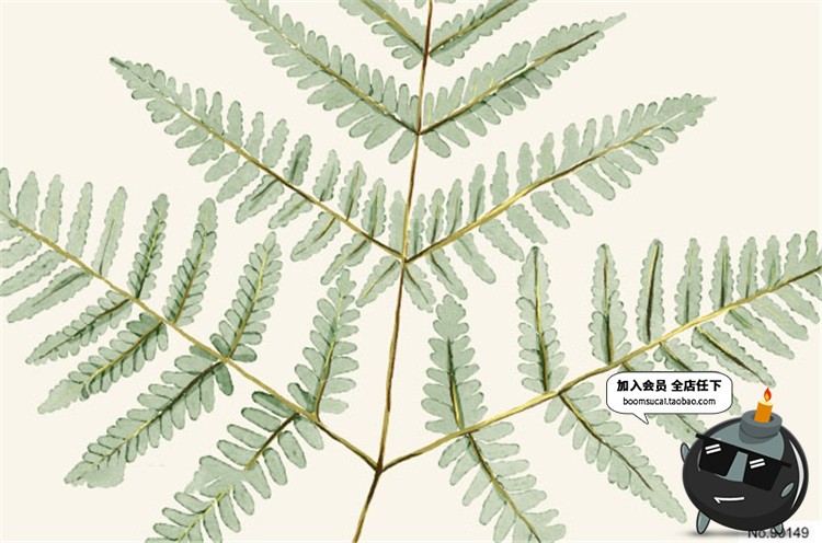 图片[3]-高清古老热带蕨类植物叶子水彩画元素PNG免抠贴图图片PS设计素材-设计猿