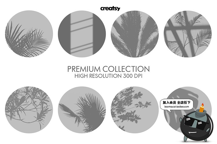 图片[2]-植物窗户阳光阴影光照效果图片照片后期合成叠加PNG免抠PS素材-设计猿