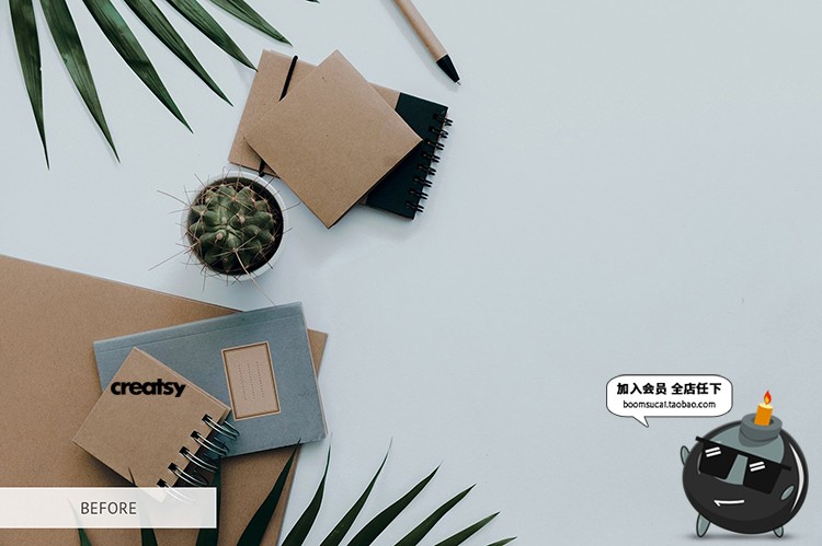 图片[32]-植物窗户阳光阴影光照效果图片照片后期合成叠加PNG免抠PS素材-设计猿