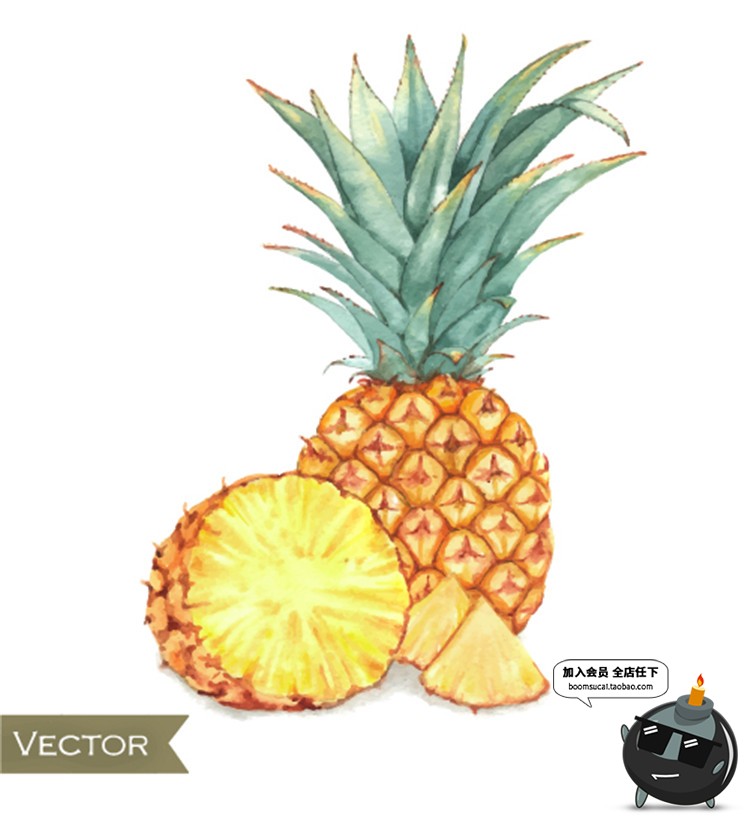 图片[1]-手绘水果菠萝香蕉梨子桃子橙子火龙果芒果卡通插画AI矢量元素素材-设计猿