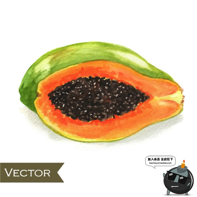 图片[5]-手绘水果菠萝香蕉梨子桃子橙子火龙果芒果卡通插画AI矢量元素素材-设计猿