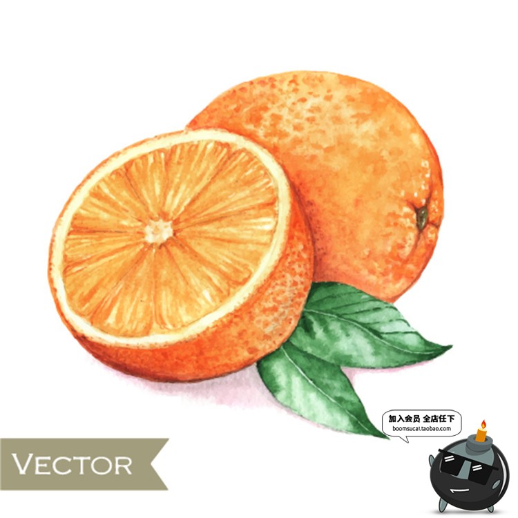 图片[6]-手绘水果菠萝香蕉梨子桃子橙子火龙果芒果卡通插画AI矢量元素素材-设计猿