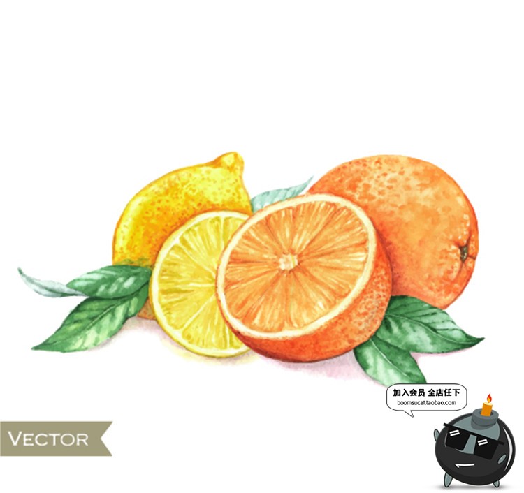 图片[9]-手绘水果菠萝香蕉梨子桃子橙子火龙果芒果卡通插画AI矢量元素素材-设计猿