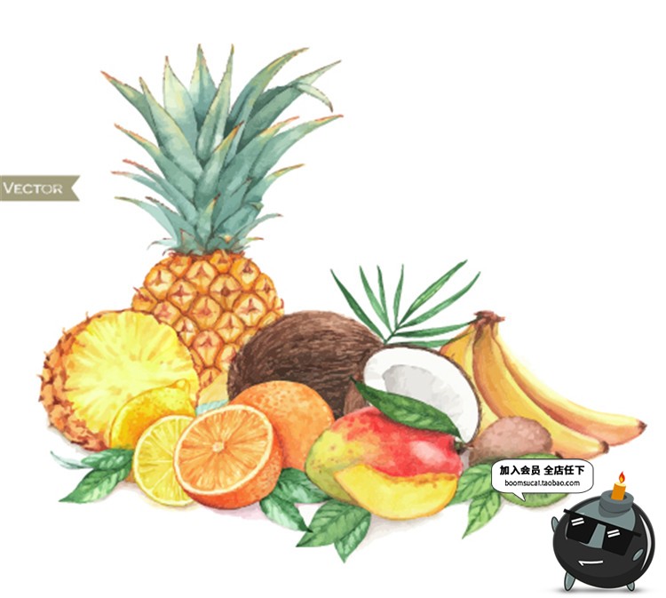 图片[16]-手绘水果菠萝香蕉梨子桃子橙子火龙果芒果卡通插画AI矢量元素素材-设计猿