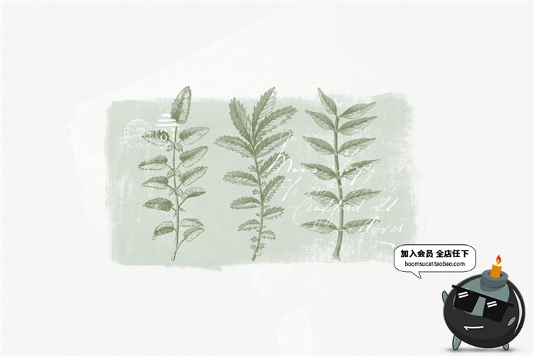 图片[2]-古董古老远古时代蕨类植物蘑菇菌类叶子设计插画素材合集AI矢量图-设计猿