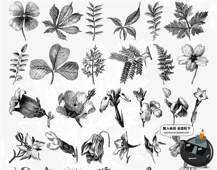 图片[7]-古董古老远古时代蕨类植物蘑菇菌类叶子设计插画素材合集AI矢量图-设计猿