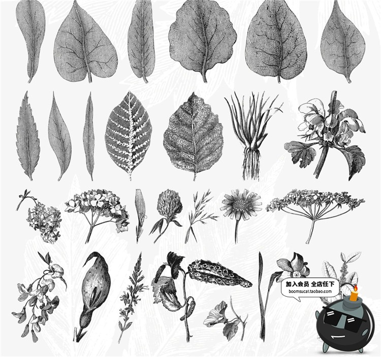 图片[9]-古董古老远古时代蕨类植物蘑菇菌类叶子设计插画素材合集AI矢量图-设计猿