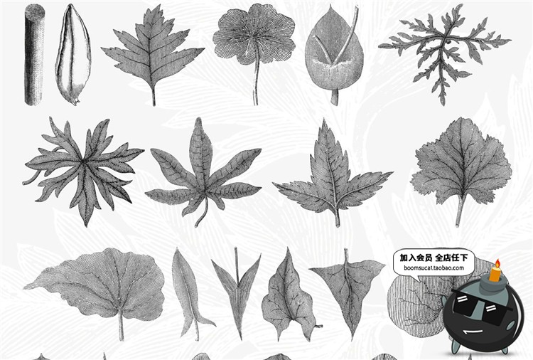 图片[10]-古董古老远古时代蕨类植物蘑菇菌类叶子设计插画素材合集AI矢量图-设计猿