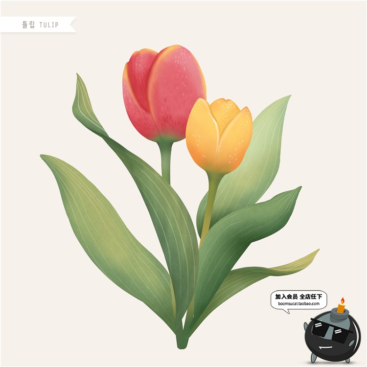 图片[2]-手绘风荷花向日葵棉花多肉菊花玫瑰百合图片画芯插画PSD高清素材-设计猿