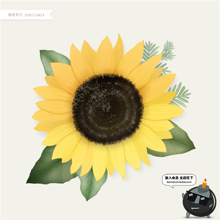 图片[3]-手绘风荷花向日葵棉花多肉菊花玫瑰百合图片画芯插画PSD高清素材-设计猿