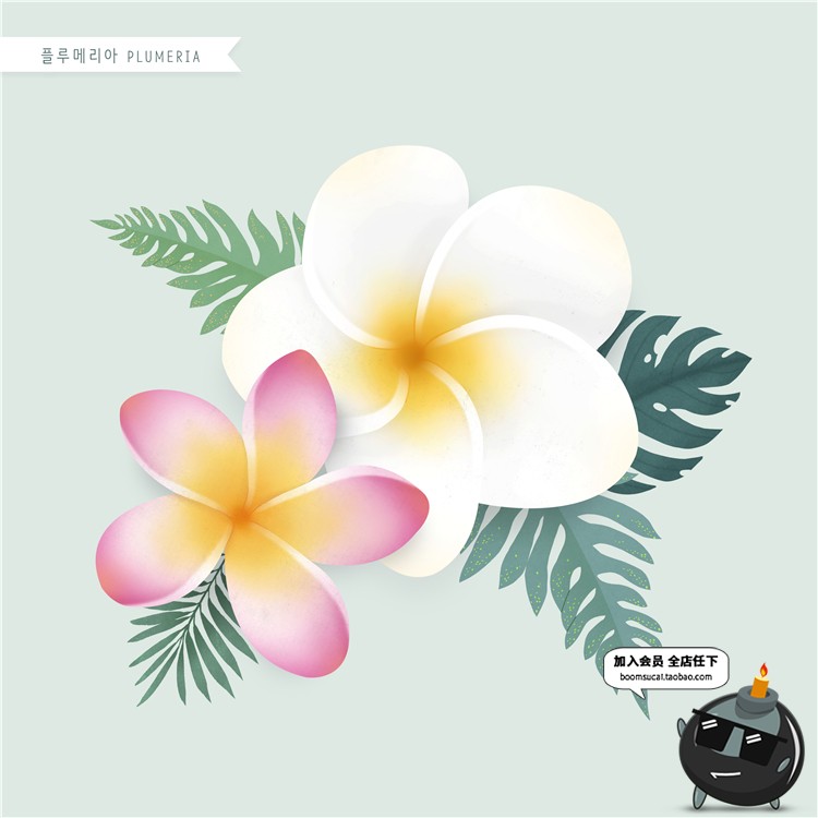 图片[4]-手绘风荷花向日葵棉花多肉菊花玫瑰百合图片画芯插画PSD高清素材-设计猿