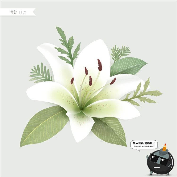 图片[8]-手绘风荷花向日葵棉花多肉菊花玫瑰百合图片画芯插画PSD高清素材-设计猿