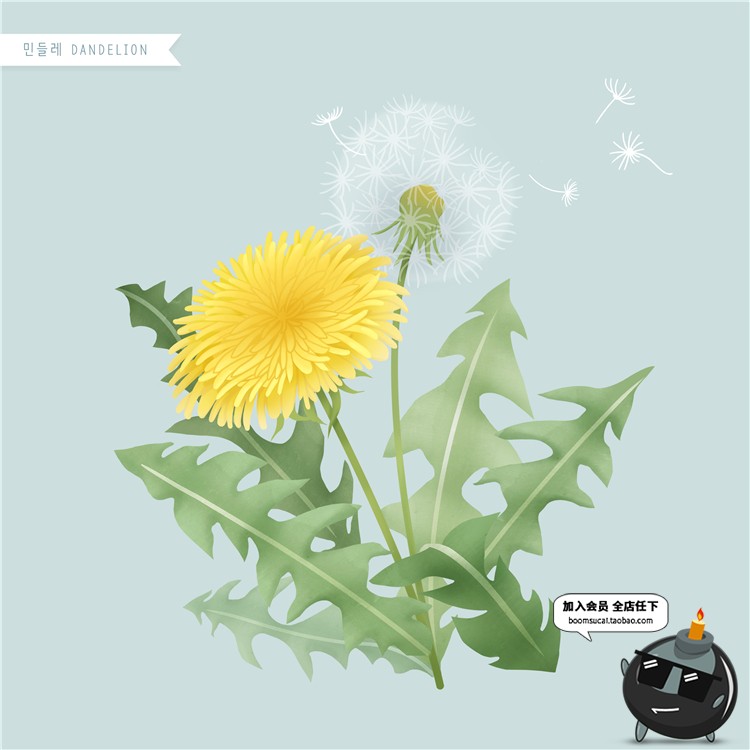 图片[11]-手绘风荷花向日葵棉花多肉菊花玫瑰百合图片画芯插画PSD高清素材-设计猿