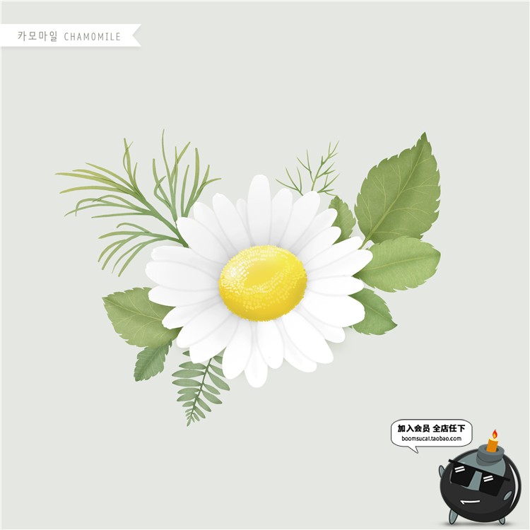 图片[14]-手绘风荷花向日葵棉花多肉菊花玫瑰百合图片画芯插画PSD高清素材-设计猿