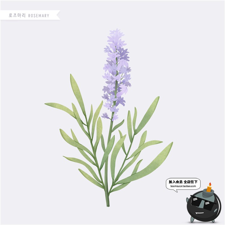 图片[15]-手绘风荷花向日葵棉花多肉菊花玫瑰百合图片画芯插画PSD高清素材-设计猿