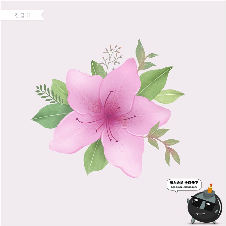 图片[18]-手绘风荷花向日葵棉花多肉菊花玫瑰百合图片画芯插画PSD高清素材-设计猿