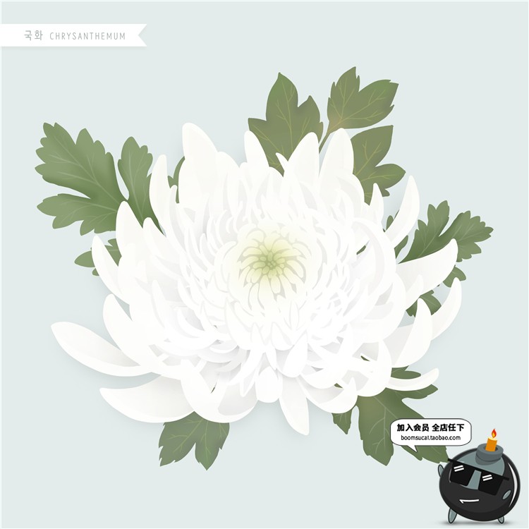 图片[25]-手绘风荷花向日葵棉花多肉菊花玫瑰百合图片画芯插画PSD高清素材-设计猿