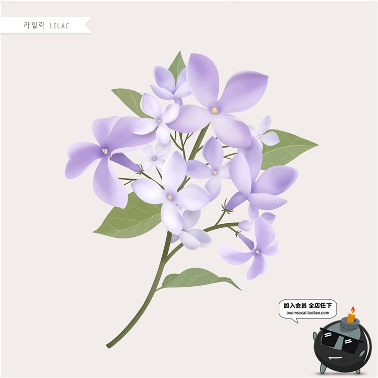 图片[27]-手绘风荷花向日葵棉花多肉菊花玫瑰百合图片画芯插画PSD高清素材-设计猿