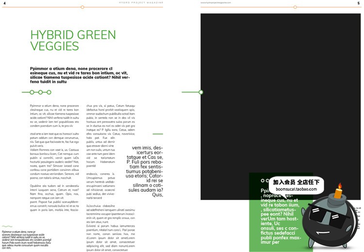 图片[2]-15页绿色健康食品画册宣传册杂志手册书籍图文排版AI矢量设计素材-设计猿