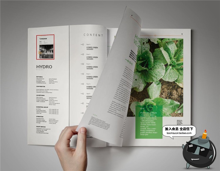 图片[9]-15页绿色健康食品画册宣传册杂志手册书籍图文排版AI矢量设计素材-设计猿