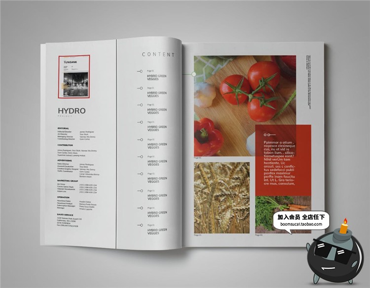 图片[10]-15页绿色健康食品画册宣传册杂志手册书籍图文排版AI矢量设计素材-设计猿