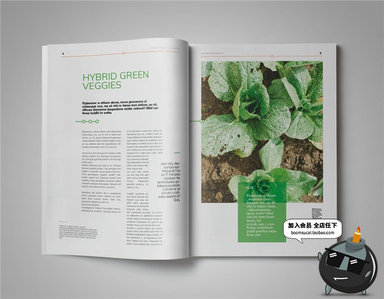 图片[11]-15页绿色健康食品画册宣传册杂志手册书籍图文排版AI矢量设计素材-设计猿