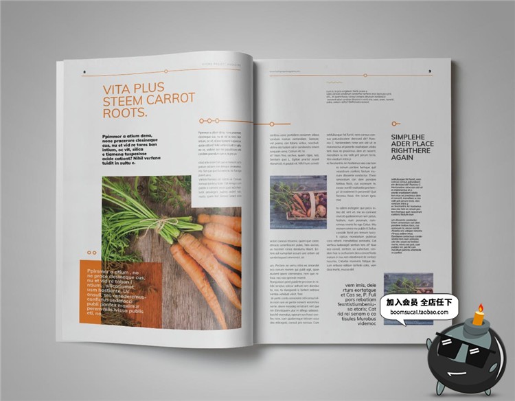 图片[12]-15页绿色健康食品画册宣传册杂志手册书籍图文排版AI矢量设计素材-设计猿
