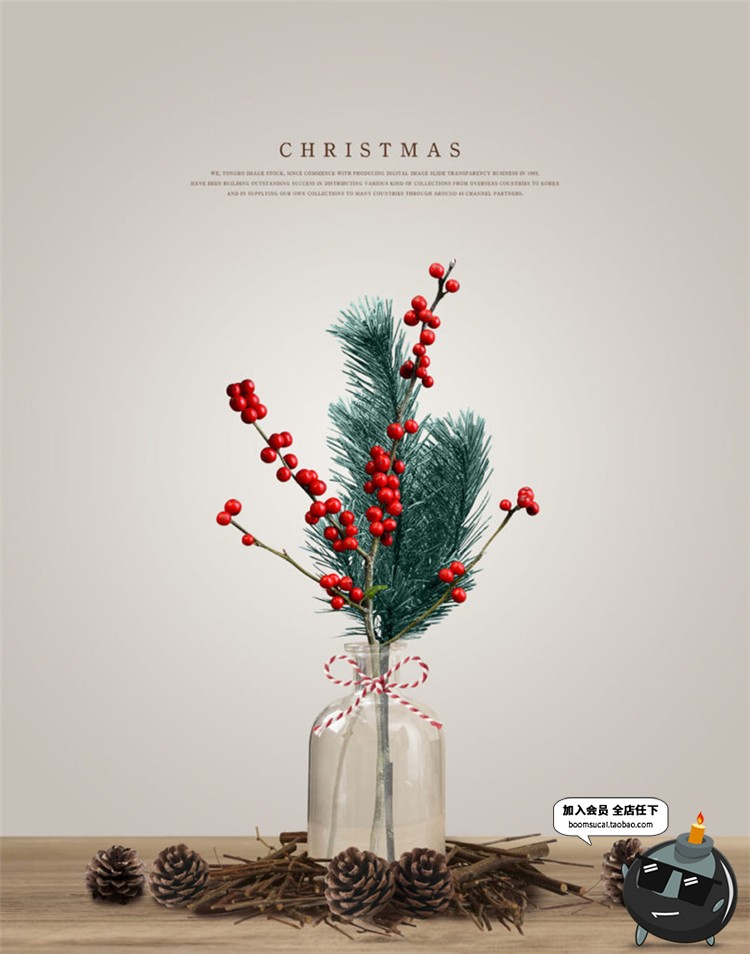图片[7]-韩式温馨冬季圣诞节礼物圣诞树装饰植物挂坠家居PSD模板海报素材-设计猿