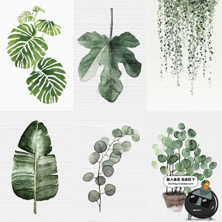 图片[4]-文艺小清新北欧景观植物绿色叶子图案高清JPG图片插画设计素材-设计猿